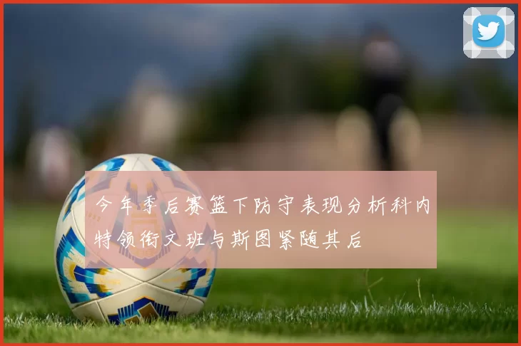 今年季后赛篮下防守表现分析科内特领衔文班与斯图紧随其后