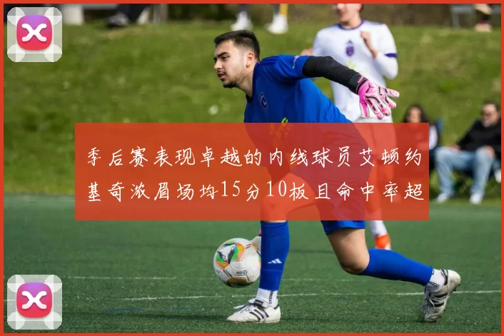 季后赛表现卓越的内线球员艾顿约基奇浓眉场均15分10板且命中率超60